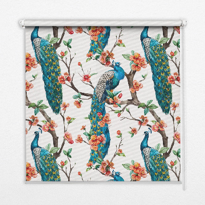 Rolgordijn voor het raam Pauw op een tak