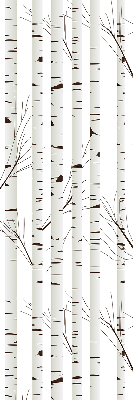 Rolgordijn voor het raam Berken