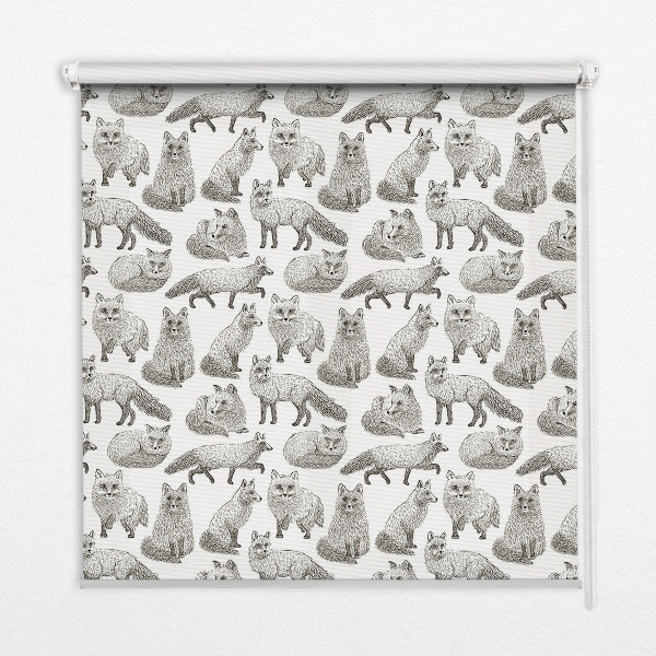 Rolgordijn voor het raam Grijze vossen