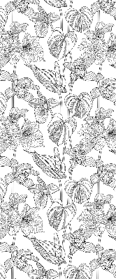 Rolgordijn voor het raam Getekende bloemen