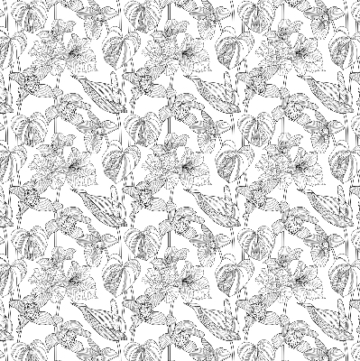 Rolgordijn voor het raam Getekende bloemen