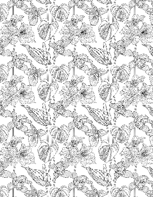 Rolgordijn voor het raam Getekende bloemen