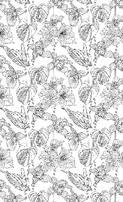 Rolgordijn voor het raam Getekende bloemen