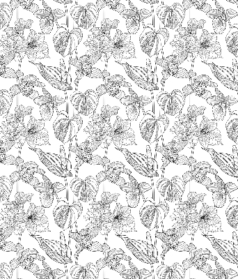 Rolgordijn voor het raam Getekende bloemen