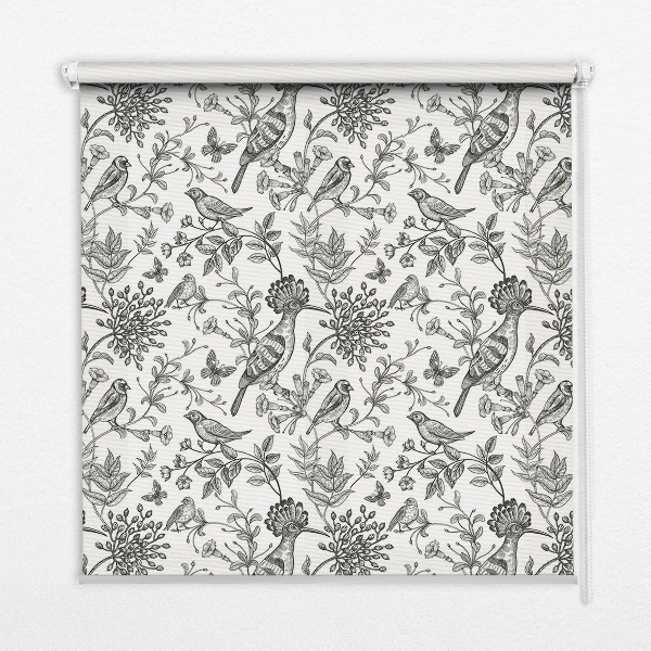Rolgordijn voor het raam Getekende vogels en planten
