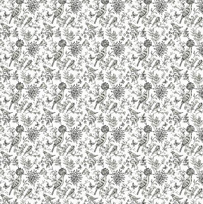 Rolgordijn voor het raam Getekende vogels en planten