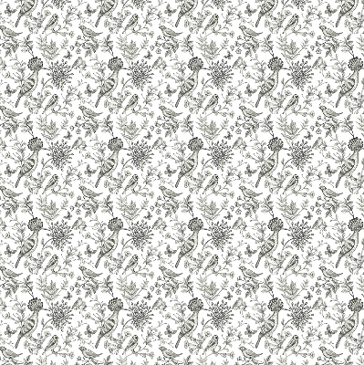 Rolgordijn voor het raam Getekende vogels en planten