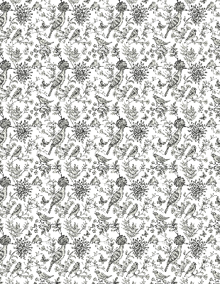 Rolgordijn voor het raam Getekende vogels en planten