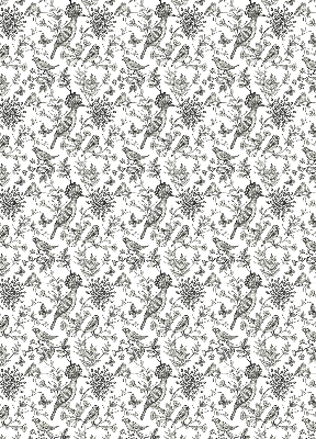 Rolgordijn voor het raam Getekende vogels en planten