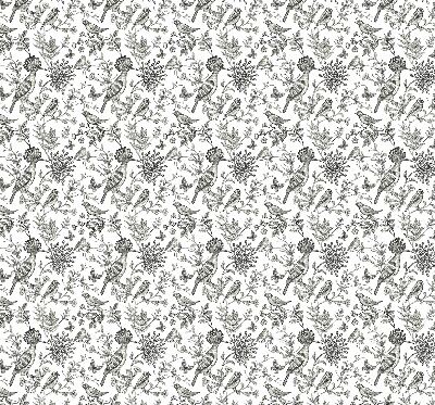 Rolgordijn voor het raam Getekende vogels en planten