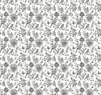 Rolgordijn voor het raam Getekende vogels en planten