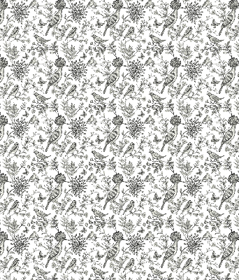 Rolgordijn voor het raam Getekende vogels en planten