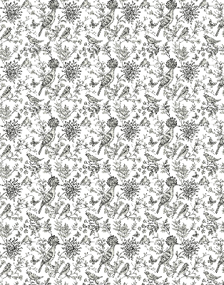 Rolgordijn voor het raam Getekende vogels en planten