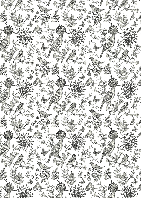 Rolgordijn voor het raam Getekende vogels en planten