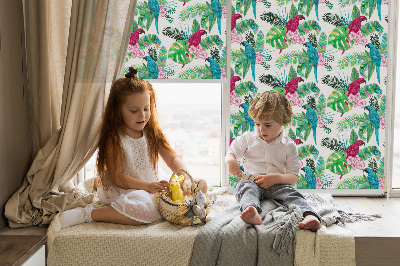 Rolgordijn voor het raam Papegaaien