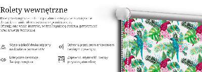 Rolgordijn voor het raam Papegaaien