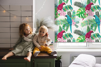 Rolgordijn voor het raam Papegaaien