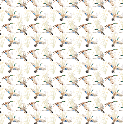 Rolgordijn verduisterend Vliegende eenden