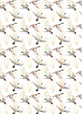 Rolgordijn verduisterend Vliegende eenden