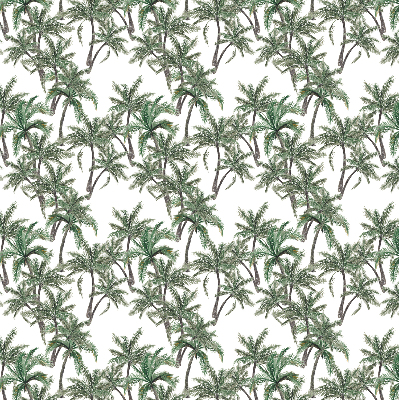 Rolgordijn voor het raam Palmbomen