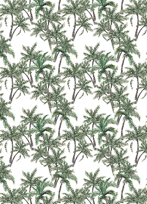 Rolgordijn voor het raam Palmbomen