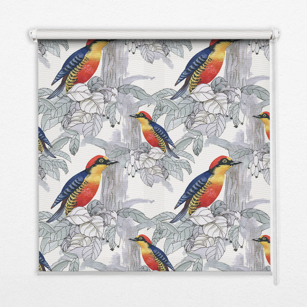 Rolgordijn voor het raam Kleurrijke vogel