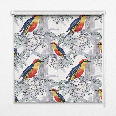 Rolgordijn voor het raam Kleurrijke vogel