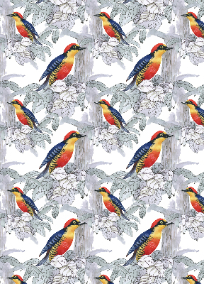 Rolgordijn voor het raam Kleurrijke vogel