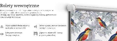 Rolgordijn voor het raam Kleurrijke vogel