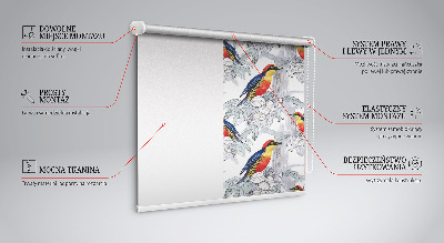 Rolgordijn voor het raam Kleurrijke vogel