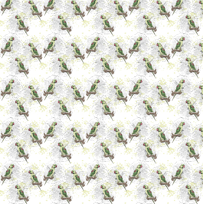 Rolgordijn verduisterend Papegaaien op een tak