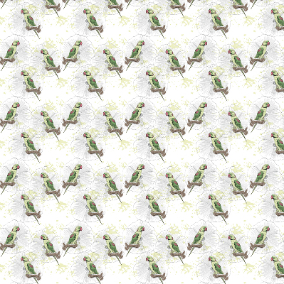 Rolgordijn verduisterend Papegaaien op een tak