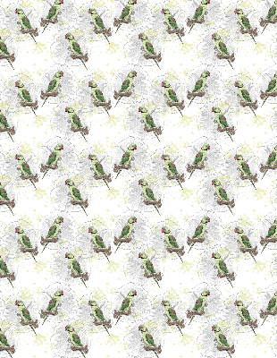 Rolgordijn verduisterend Papegaaien op een tak