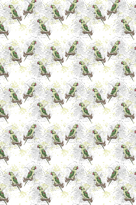 Rolgordijn verduisterend Papegaaien op een tak