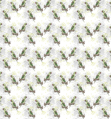 Rolgordijn verduisterend Papegaaien op een tak