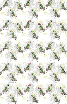 Rolgordijn verduisterend Papegaaien op een tak