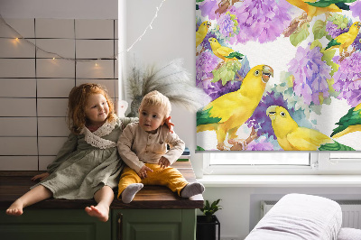 Rolgordijn voor het raam Gele papegaaien