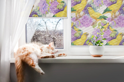 Rolgordijn voor het raam Gele papegaaien