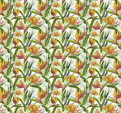 Rolgordijn voor het raam Exotische planten