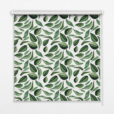 Rolgordijn voor het raam Bladeren vallen van bomen