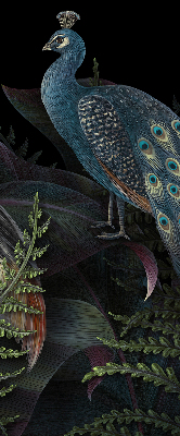 Rolgordijn verduisterend Patki in het groen