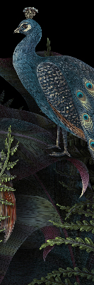 Rolgordijn verduisterend Patki in het groen