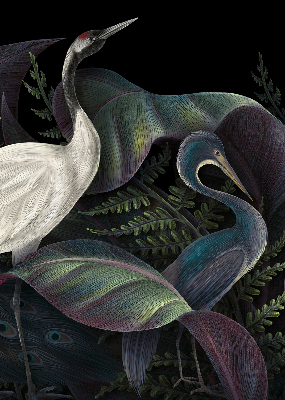 Rolgordijn verduisterend Patki in het groen