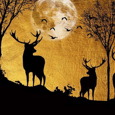 Rolgordijn verduisterend Herten 's nachts