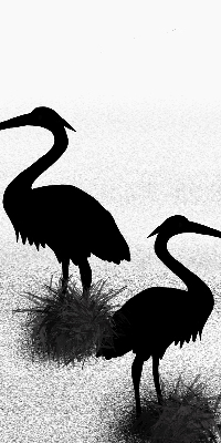 Rolgordijn voor het raam Reigers