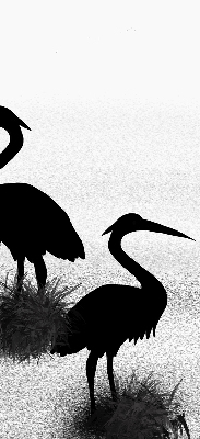 Rolgordijn voor het raam Reigers