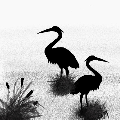 Rolgordijn voor het raam Reigers