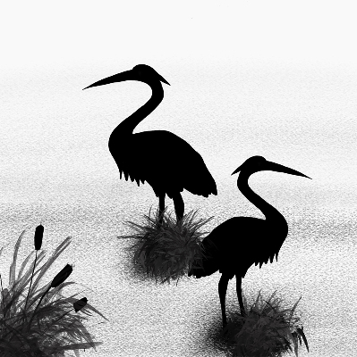 Rolgordijn voor het raam Reigers