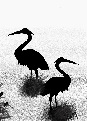 Rolgordijn voor het raam Reigers