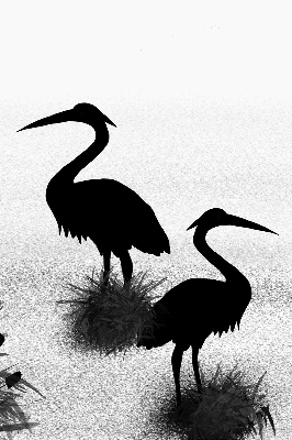 Rolgordijn voor het raam Reigers